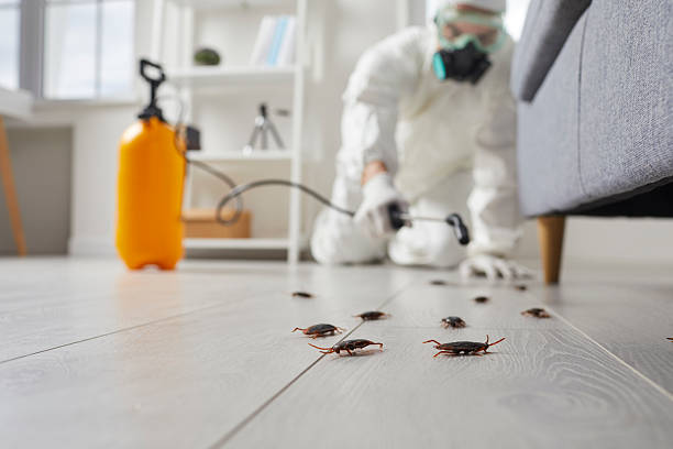 Commercial Kitchen Cockroach Control in Catlin